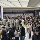 제니스 센트럴 이미지