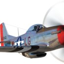 Top Gun Maverick 이미지