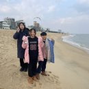 안목커피 이미지