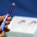 뱅크트리 이미지