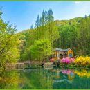 파랑새 | 논산 딸기 축제 후기(파랑새투어 패키지 후기 및 논산 명소 추천