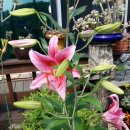 금수산펜션 이미지