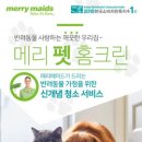 메리펫 - 달성군 다사로 2 | 메리펫