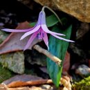 부건농장 이미지