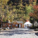 정선애팬션 이미지