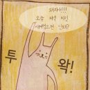 야돼지다 이미지