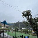 안면애견펜션프리독 이미지