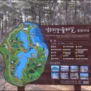 화진포둘레길(죽정리) 이미지