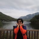 산두