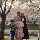 영동1교 북측 | 서울 벚꽃 구경 매헌윤봉길의사기념관 양재시민의숲 매헌시민의숲 여의천 벚꽃길(23.04.01)