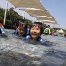 가락본동어린이집 이미지