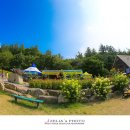 해바라기-청춘(1) 이미지