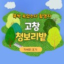 초원풍천장어 | 폭싹 속았수다 촬영지 고창 여행