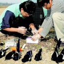 오늘의 포토뉴스 이미지