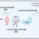 가위스토리 이미지
