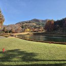 서서울 | 서서울CC 라운딩 후기 | 가을 마지막 단풍이 이뻤다.