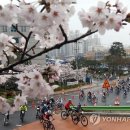 '아름다운 태화강 100리 자전거길' 이미지