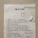 20. 7주2일차 계류유산 판정, 그리고 소동이를 떠나보낸 날