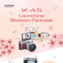 블러썸 PC 이미지