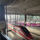 깨끗한세탁나라 | 스페인 세비야 대가족 숙소 추천 오버랜드 스위트 카테드랄 후기(위치, 가격, 아파트먼트 주변 맛집)