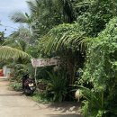 PLAGE(플라쥬) | 호이안 맛집 안방 비치 맛집 &#34;La Plage restaurant&#34; 한국인 맛집 라플라쥬 추천 메뉴 및 후기