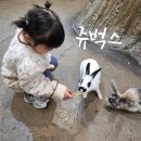 서창 | 인천실내동물원 직접 먹이체험 쥬벅스 서창점 방문후기