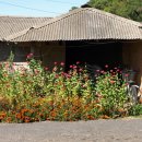 옛날의그집 이미지