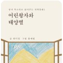 [꼭 읽어야 할 과학동화 eBook 추천]「어린왕자와 태양별」(글 최미정, 그림 홍예림/재미진동네/2026) 이미지
