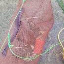 빨래터캠핑장 이미지