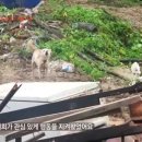 동화스토리 이미지