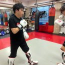 프로체육관 이미지