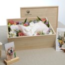 포포즈 반려동물장례식장 양주점 이미지