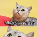 유미네화로구이 이미지