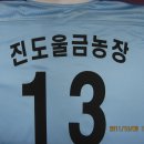 진도체육사