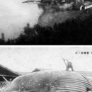 서귀포산업 주식회사 이미지