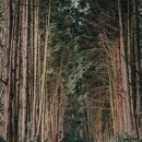 별방진하우스 이미지