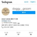 도기그룸 이미지