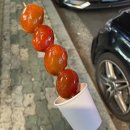 토마토2 노래연습장 이미지