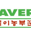 송가인마을 공중화장실 이미지