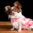 하나동물종합병원 이미지