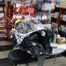 윤신근박사동물병원 이미지