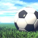 영암공설운동장 이미지