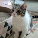 기아SK주유소 이미지