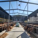 일출한우농장 이미지