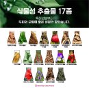 피오케이 이미지