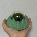 공기정화식물로 꾸미는 미니정원(재료비 15,000원) | 녹색주의보 테라리움 만들기 키트로 집에서 미니정원 꾸미는 방법 기록