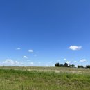 미시시피 이미지