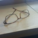 다누비안경 이미지