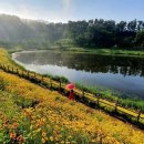 섬꽃공원 이미지