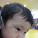 화창태권도장 이미지